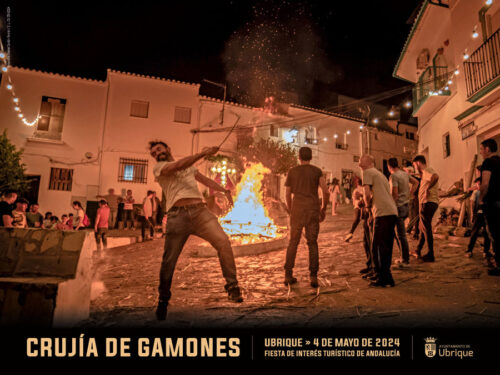 Crujía de gamones de Ubrique 2024